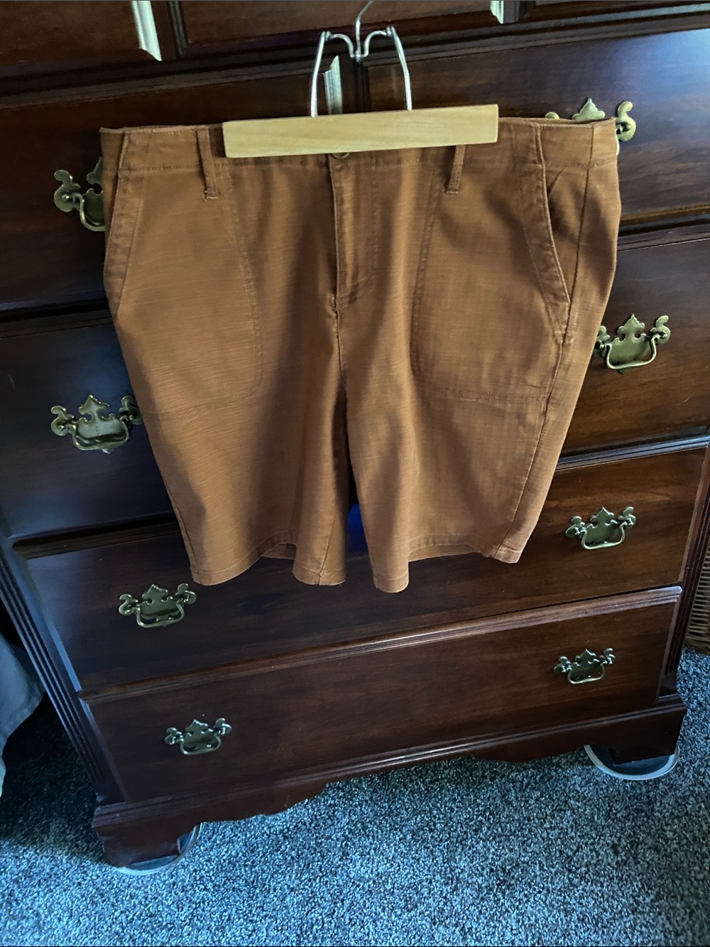 Style & Company shorts: size 12, rust colored.